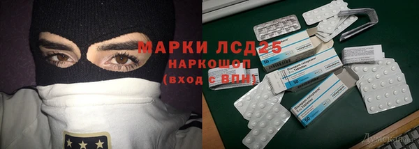 стаф Абинск