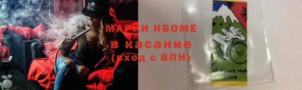 стаф Абинск