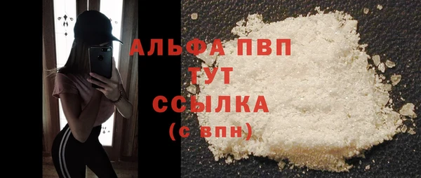 стаф Абинск